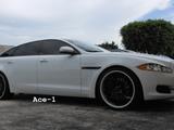 oj71gpf9jl1aonz.jpg
