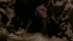 aqyz54ym3b.gif