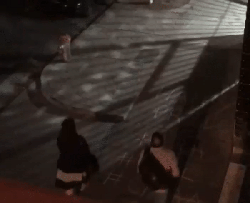 bint.trips.face.first.by.pp4l.floor.sign.gif