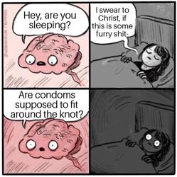bk23nkkzap.jpg